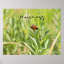 Recherche de monarch butterfly posters Papillon monarque