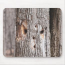 Recherche de pic tapis souris Forêt