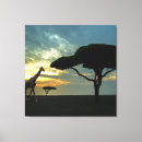Suche nach afrikanischer sonnenuntergang poster Leinwand
