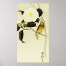 Suche nach songbird poster Singvogel