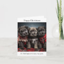 Suche nach bouvier des flandres karten Weihnachtskarte