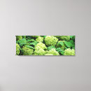 Recherche de hortensias toiles Floral