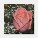 Recherche de 365flowers S'est levé