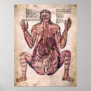 Suche nach schwangere frau poster Gynäkologie