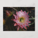 Suche nach shades postkarten Natur