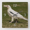 Recherche de le faune horloges Oiseaux