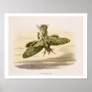 Suche nach eintagsfliegen poster 1824 83
