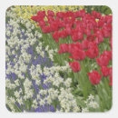 Suche nach keukenhof aufkleber Bunt