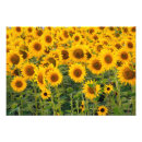 Suche nach ackerland kunst Feld