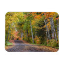 Recherche de gravier magnets Automne