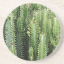 Recherche de pointu dessous de verres Cactus
