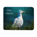 Recherche de mouette magnets Faune