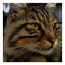 Recherche de aslan posters Animal