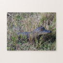 Suche nach alligator puzzle Tier