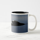 Recherche de f 22 raptor tasses Ciel