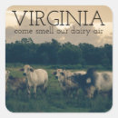 Suche nach der lustige bauernhof aufkleber Kuh