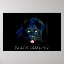 Recherche de black panther posters Animaux
