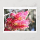 Recherche de abeille miel cartes postales Fleur sauvage