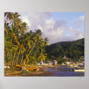 Recherche de palmier tropical posters Tourisme