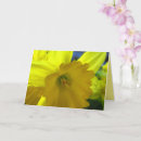 Suche nach narzisse karten Für sie