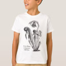 Recherche de plantes de broc Plante carnivore