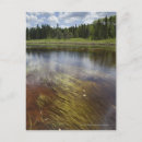 Recherche de transparent cartes postales Extérieur