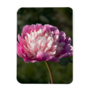 Recherche de grande fleur magnets Pour tous