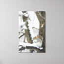 Recherche de foyer sélectif art Blanc