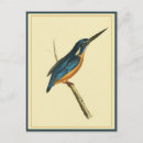 Recherche de azur cartes postales Illustration