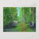 Suche nach bluebells postkarten Waldland