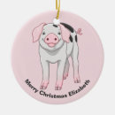 Suche nach niedliches schwein ornamente Lustig