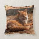 Suche nach füchse dekokissen Natur