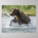 Suche nach jagt poster Alaska