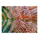 Suche nach wald im herbst poster Blatt