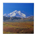 Suche nach denali fliesen Herbst