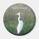 Suche nach kran magnete Urlaub