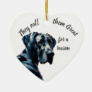 Suche nach great dane ornamente Dagegen