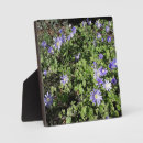 Suche nach mit blumen fotoplatten Blau