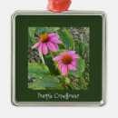 Recherche de fleurs violettes ornements Pour tous