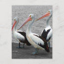 Suche nach color postkarten Minimal