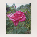 Recherche de rayures roses puzzles Élégant