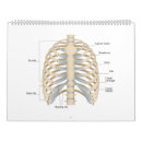 Suche nach anatomie kalender Bildung