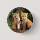 Suche nach roter fuchs buttons Rotfuchs