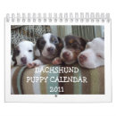 Suche nach dackel kalender Welpen