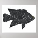 Suche nach schwarze fische poster Aquarium
