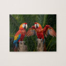 Recherche de aras puzzles Oiseaux tropicaux