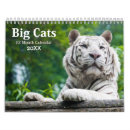 Suche nach gepard kalender Katze