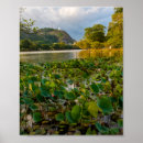 Suche nach sri lanka poster Fotografie