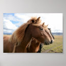 Suche nach drei pferde poster Natur