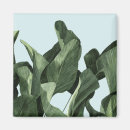 Recherche de palmiers tropicaux magnets Feuille